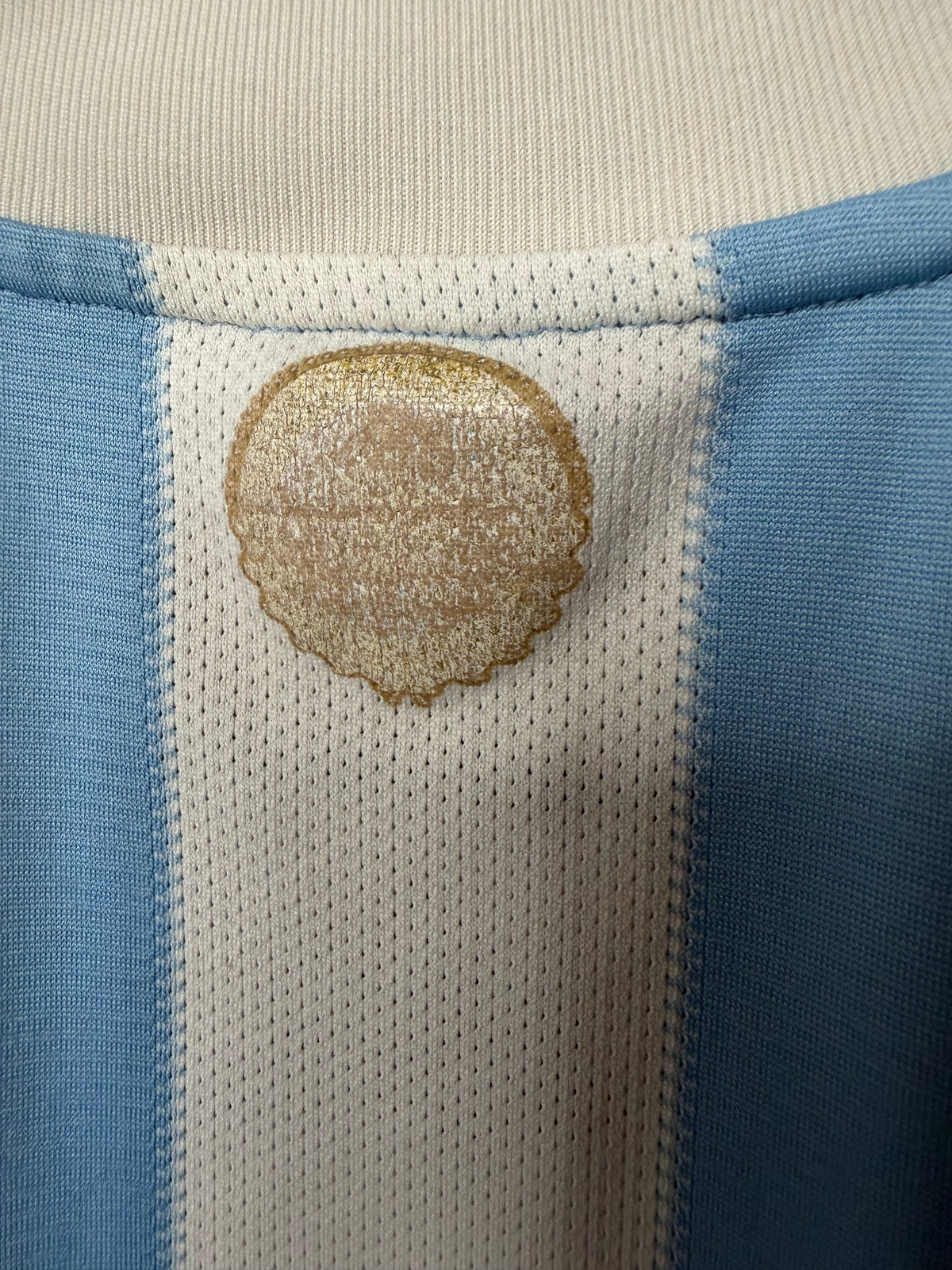 Authentic Argentina National Team 2010 Home Kit