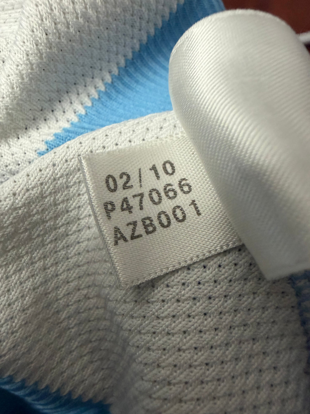 Authentic Argentina National Team 2010 Home Kit